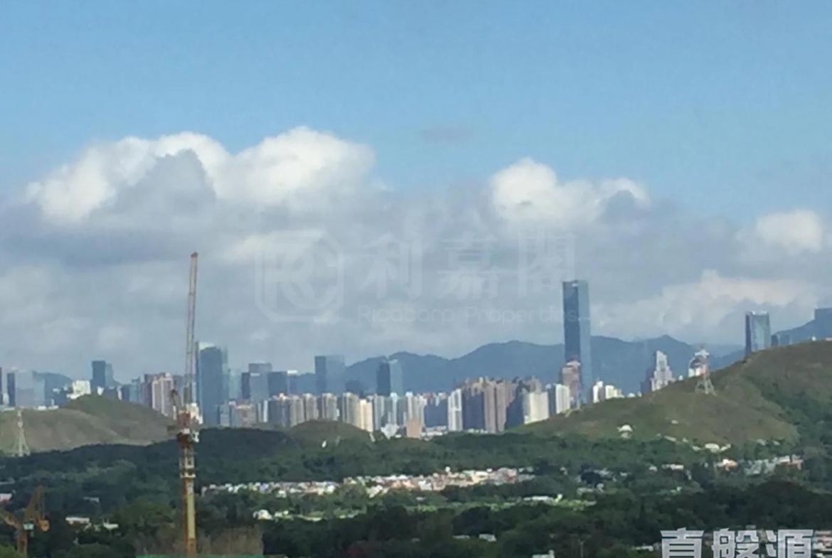 顯峯 - 28NTS – 香港北部都會區
