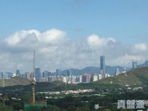 顯峯 - 28NTS – 香港北部都會區