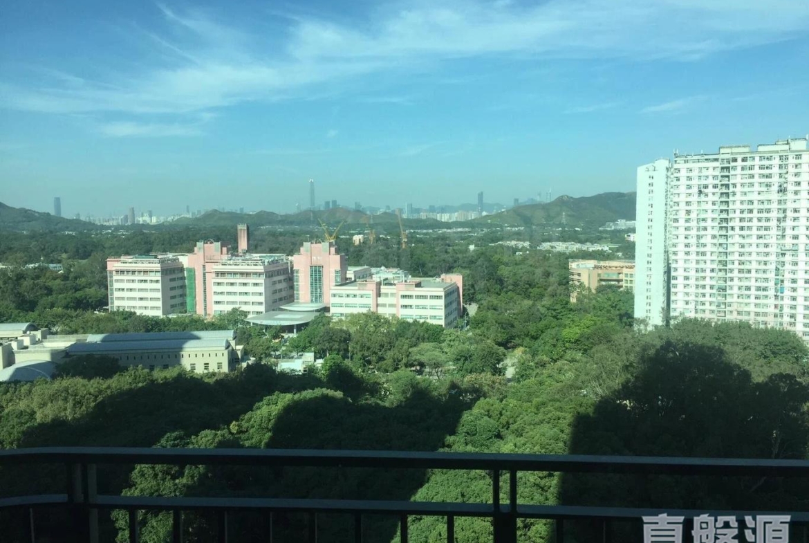 顯峯 - 28NTS – 香港北部都會區