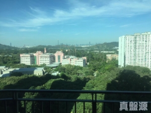 顯峯 - 28NTS – 香港北部都會區