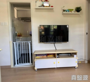 偉華中心 4座 - 28NTS – 香港北部都會區