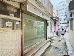 沙田圍村 34號 - 28NTS – 香港北部都會區