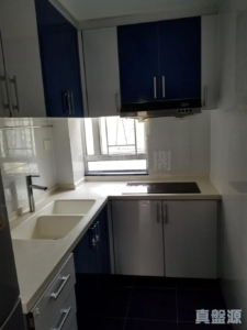 新港城 4期 F座 - 28NTS – 香港北部都會區