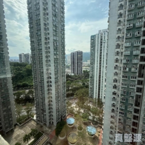 沙田第一城 5期 47座 - 28NTS – 香港北部都會區