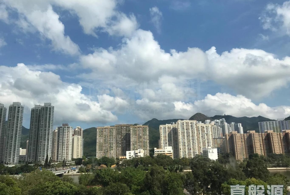 沙田中心 東寧大廈 (A座) - 28NTS – 香港北部都會區