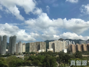 沙田中心 東寧大廈 (A座) - 28NTS – 香港北部都會區