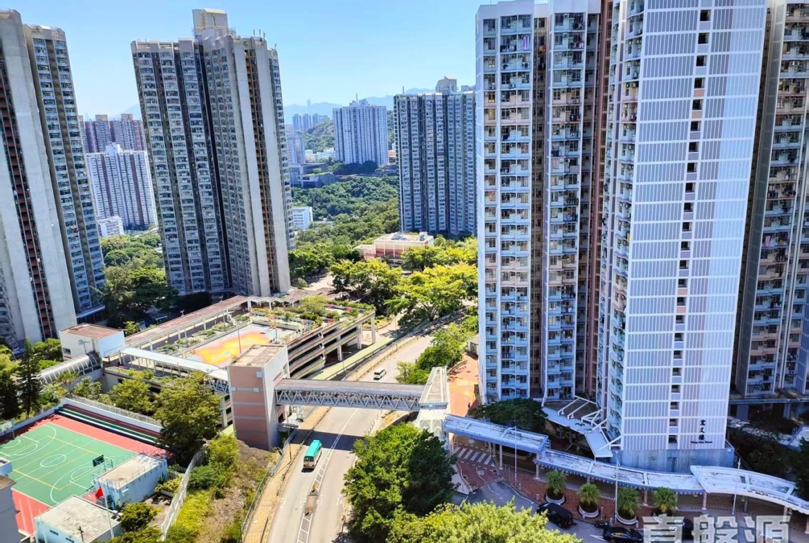 薈藍 - 28NTS – 香港北部都會區