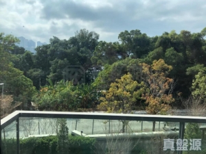 雲海 1期 Sandalwood Court 1座 - 28NTS – 香港北部都會區
