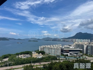 鹿茵山莊 鹿茵軒 11座 - 28NTS – 香港北部都會區