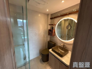 柏傲莊 3期 1座 (1B) - 28NTS – 香港北部都會區
