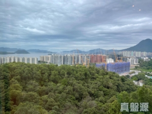 鹿茵山莊 鹿怡居 1座 - 28NTS – 香港北部都會區