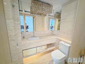 天巒 - 28NTS – 香港北部都會區