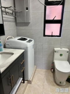 新港城 4期 E座 - 28NTS – 香港北部都會區