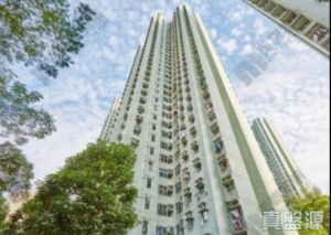 富寶花園 7座 - 28NTS – 香港北部都會區