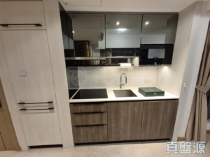 雲滙 1期 6座 - 28NTS – 香港北部都會區