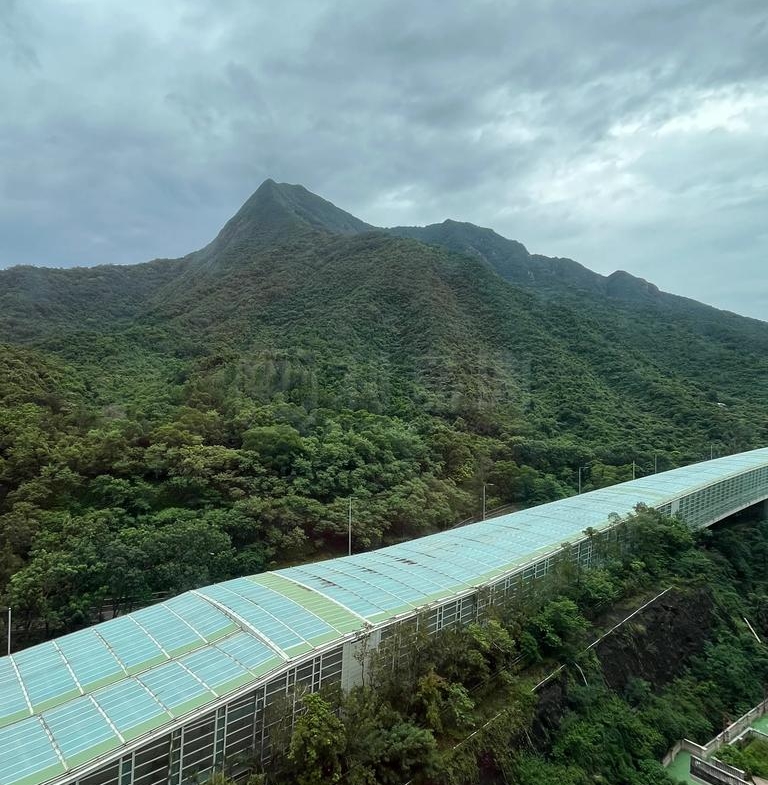 翠擁華庭 11座 - 28NTS – 香港北部都會區