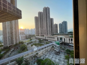 新港城 1期 B座 - 28NTS – 香港北部都會區