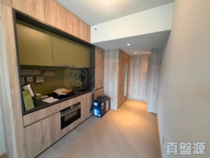 柏傲莊 3期 8座 (8B) - 28NTS – 香港北部都會區