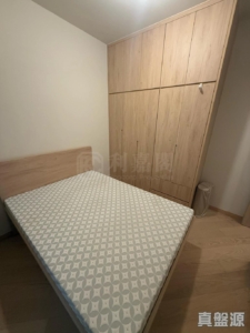 天鑽 19座 - 28NTS – 香港北部都會區