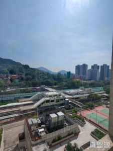 粉嶺名都 百利閣 (2座) - 28NTS – 香港北部都會區