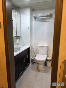 沙田廣場 華星閣 (C座) - 28NTS – 香港北部都會區