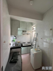 粉嶺中心 1期 B座 - 28NTS – 香港北部都會區