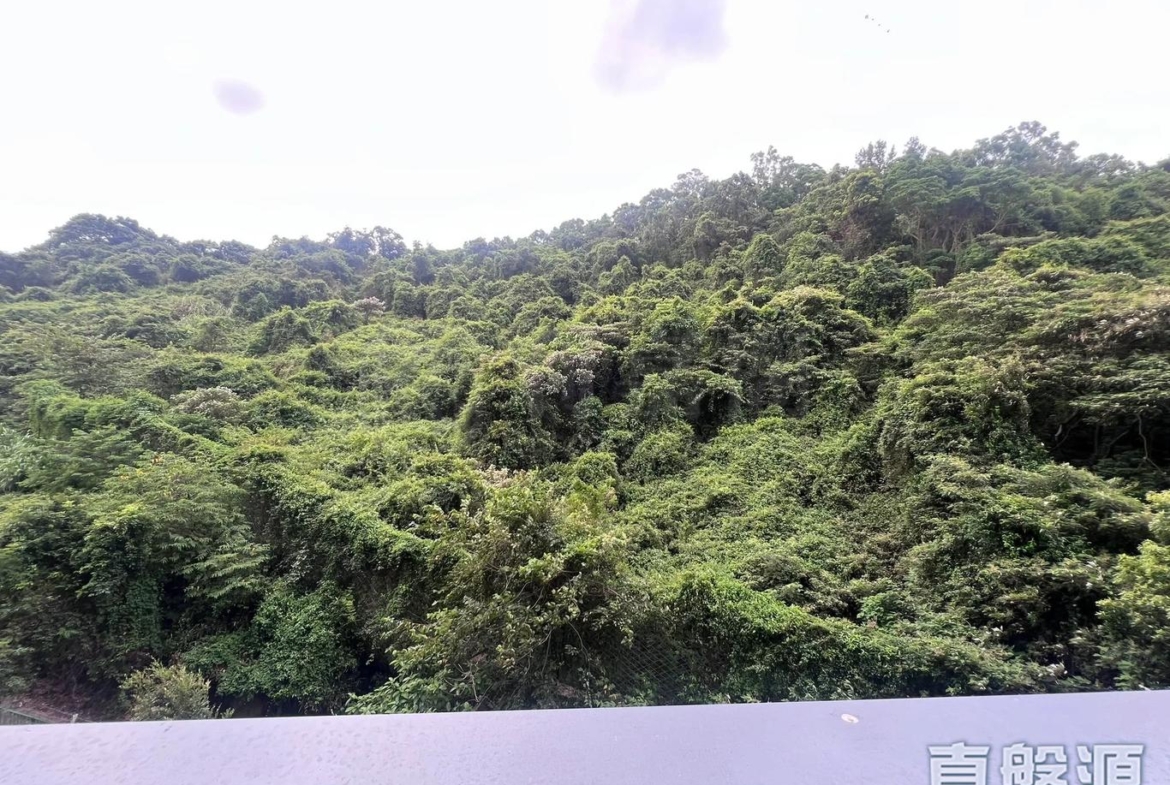 上然 3期 5座 - 28NTS – 香港北部都會區