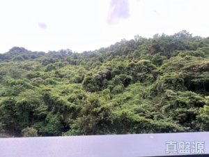 上然 3期 5座 - 28NTS – 香港北部都會區