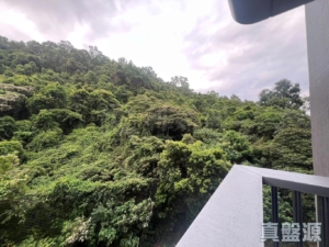 上然 3期 5座 - 28NTS – 香港北部都會區