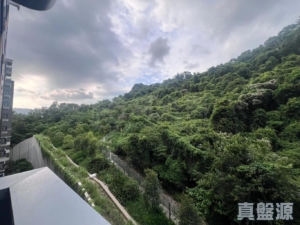 上然 3期 5座 - 28NTS – 香港北部都會區