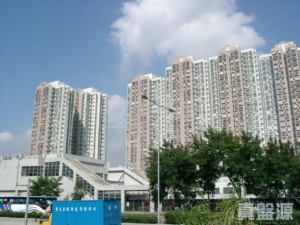 粉嶺名都 雅碧閣 (1座) - 28NTS – 香港北部都會區
