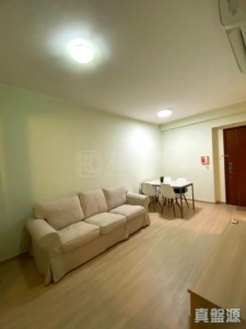 藍天海岸 3期 影岸‧紅 B座 (8座) - 28NTS – 香港北部都會區