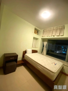 藍天海岸 3期 影岸‧紅 B座 (8座) - 28NTS – 香港北部都會區
