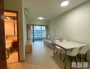 藍天海岸 3期 影岸‧紅 B座 (8座) - 28NTS – 香港北部都會區
