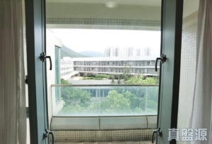 藍天海岸 3期 影岸‧紅 B座 (8座) - 28NTS – 香港北部都會區