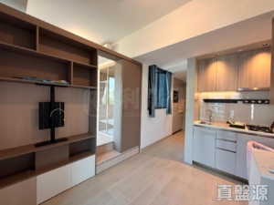 黃金海灣 1期 意嵐 3座 - 28NTS – 香港北部都會區