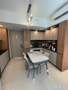 SILICON HILL UNIVERSITY HILL 2B期 優景閣 第3座 - 28NTS – 香港北部都會區