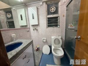盈豐園 1座 - 28NTS – 香港北部都會區