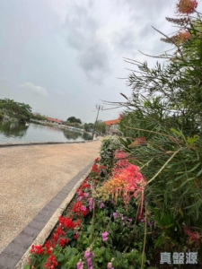 錦繡花園 - 28NTS – 香港北部都會區