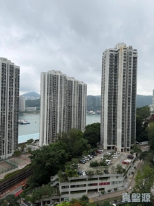 麗城花園 2期 8座 - 28NTS – 香港北部都會區