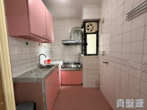大興花園 1期 4座 - 28NTS – 香港北部都會區