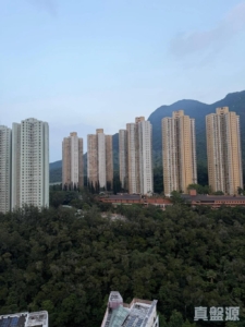 新港城 2期 D座 - 28NTS – 香港北部都會區