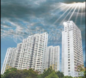 太平邨 平靜樓 (B座) - 28NTS – 香港北部都會區