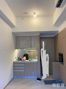 泓碧 1座 - 28NTS – 香港北部都會區