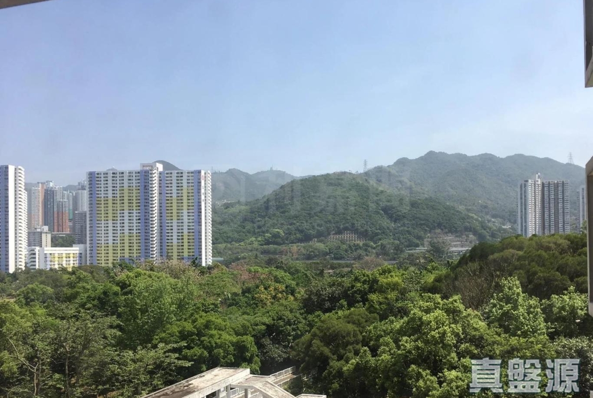 希爾頓中心 A座 - 28NTS – 香港北部都會區
