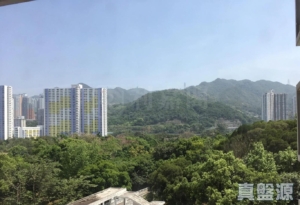 希爾頓中心 A座 - 28NTS – 香港北部都會區