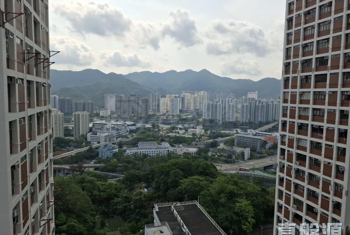 穗禾苑 豐逸閣 (B座) - 28NTS – 香港北部都會區