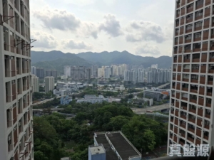 穗禾苑 豐逸閣 (B座) - 28NTS – 香港北部都會區