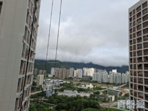 穗禾苑 豐逸閣 (B座) - 28NTS – 香港北部都會區