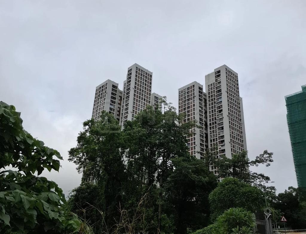 穗禾苑 豐逸閣 (B座) - 28NTS – 香港北部都會區